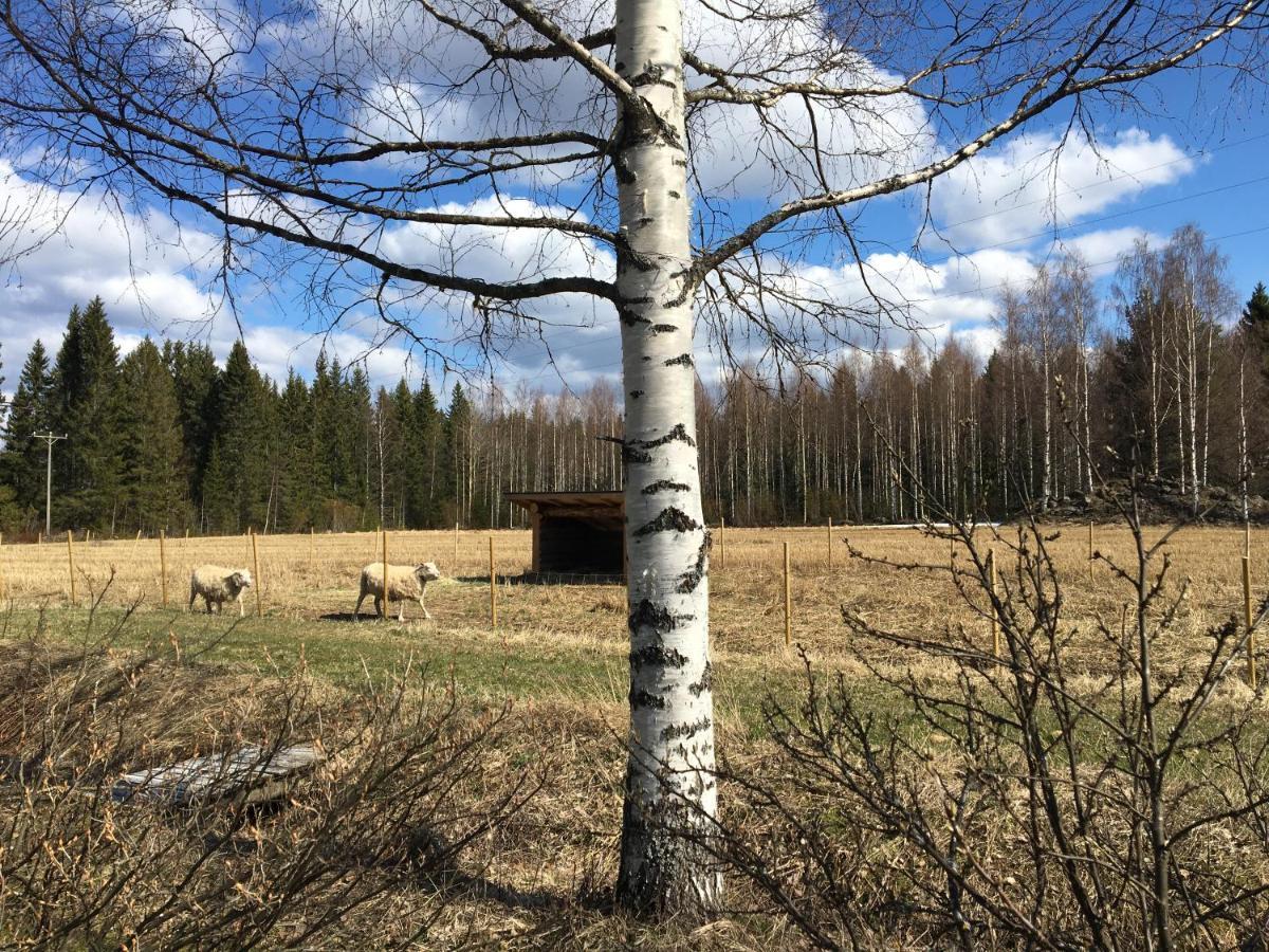 Kivirannan Tupa Villa Ylivieska Buitenkant foto