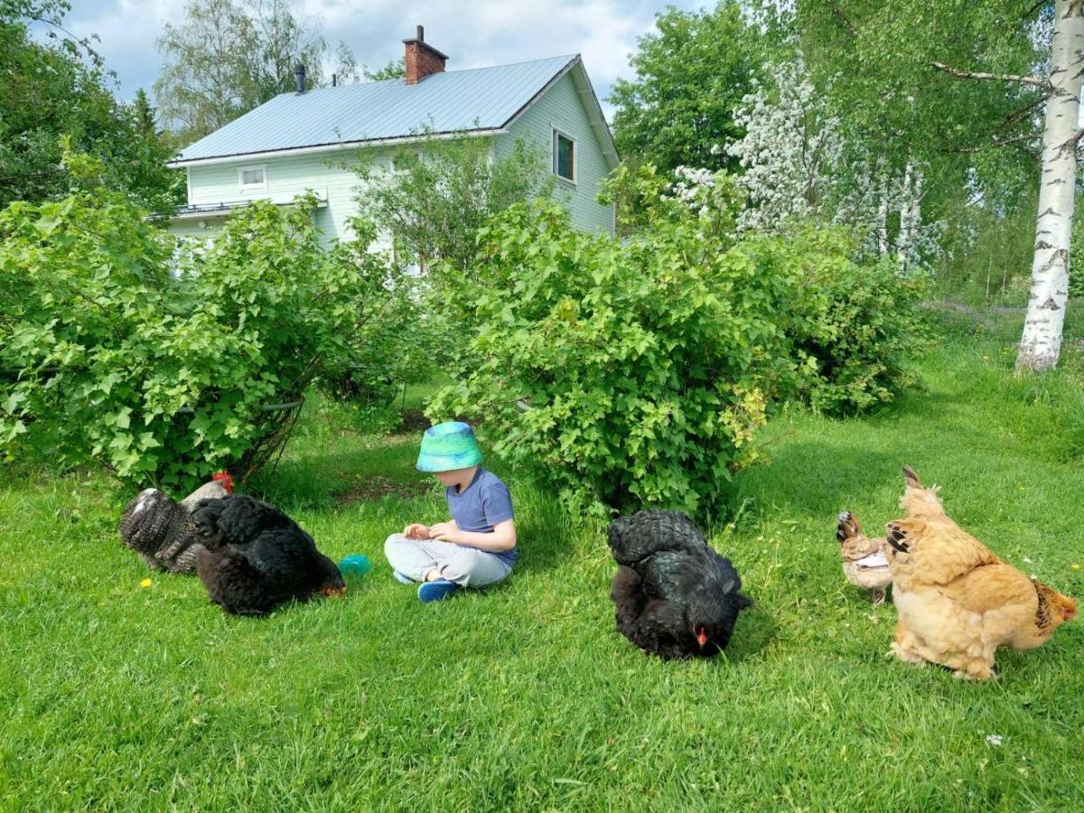Kivirannan Tupa Villa Ylivieska Buitenkant foto