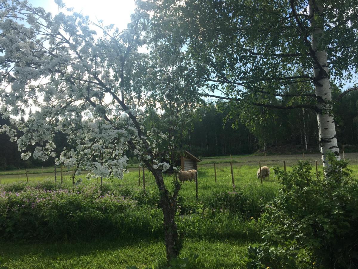 Kivirannan Tupa Villa Ylivieska Buitenkant foto