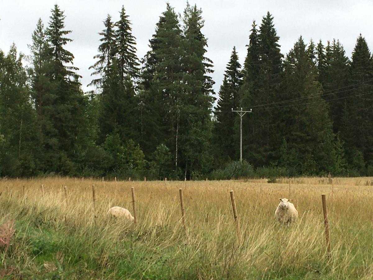 Kivirannan Tupa Villa Ylivieska Buitenkant foto